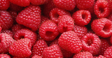 Raspberry Seed Oil